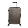 Checked Baggage Brown