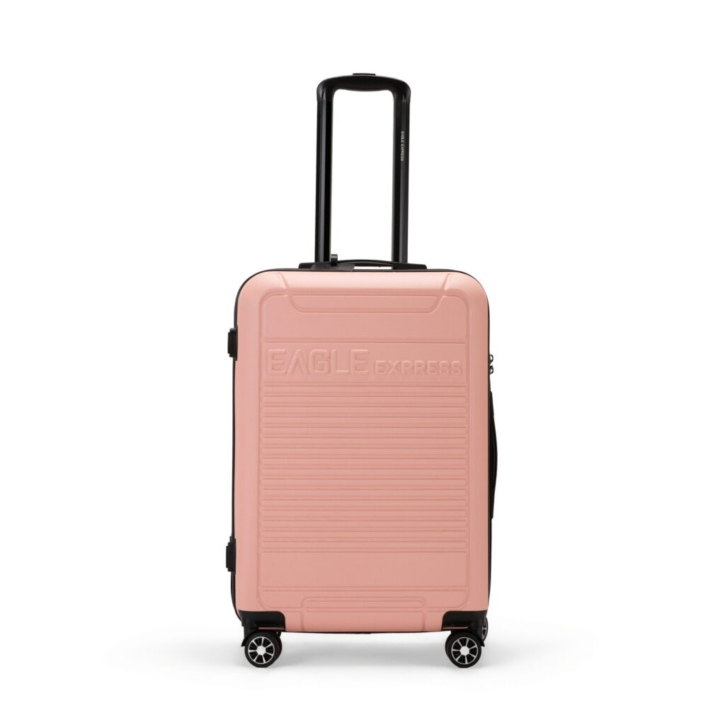 Defender ABS Hard Check-in Luggage | 24 inches