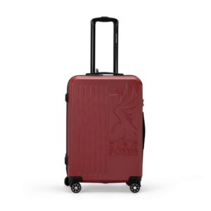 Superior ABS Hard Check-in Luggage | 24 inches